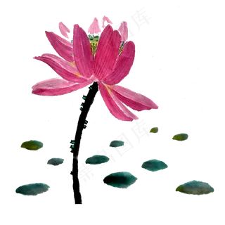 水墨荷花莲花PNG国画桃色