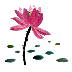 水墨荷花莲花PNG国画桃色