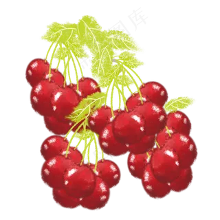 风格手绘水果樱桃成熟