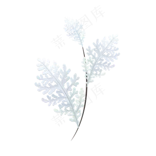 手绘植物花草树叶