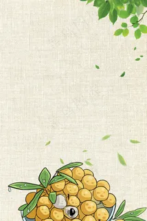 简约水果美味桂圆