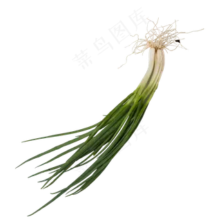 绿色香葱食物元素,免抠元素