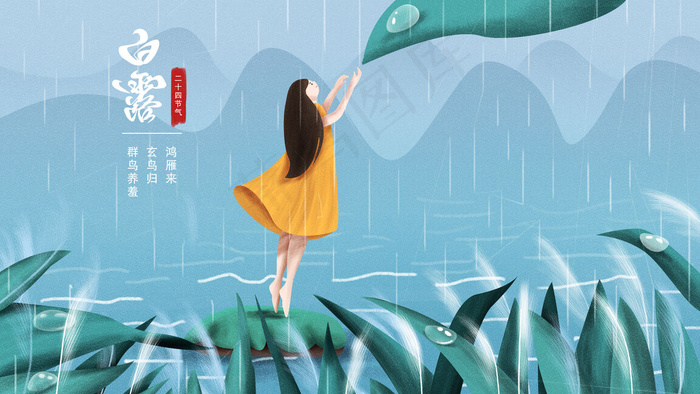 二十四节气白露节气插画