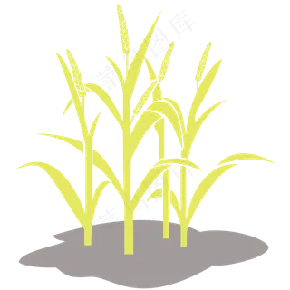 日系小清新唯美系列立秋麦穗