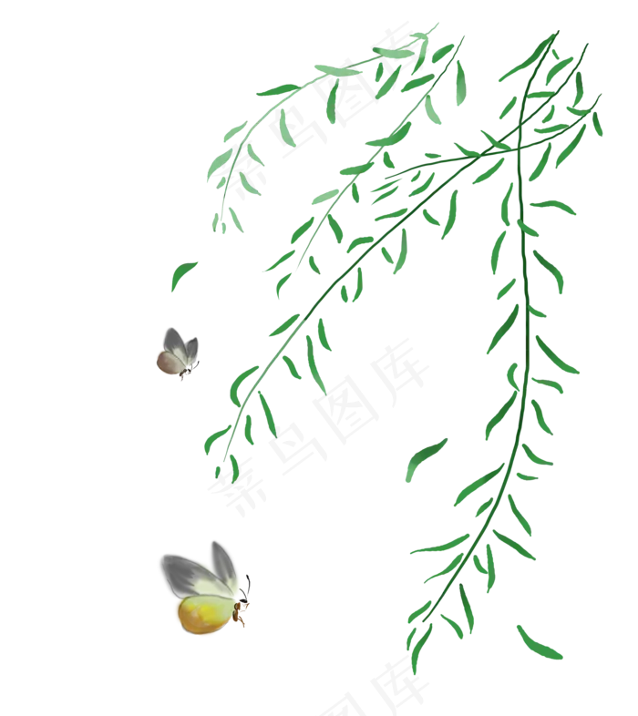 清明节 手绘柳枝素材,免抠元素(3508*3939px)psd模版下载