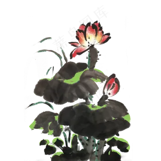 夏天水墨风荷花荷叶手绘