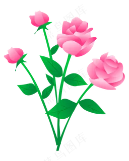 唯美玫瑰花玫瑰花瓣