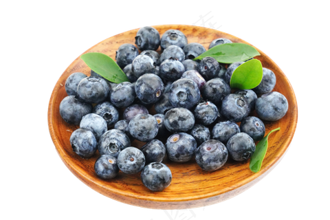 水果蓝莓果实