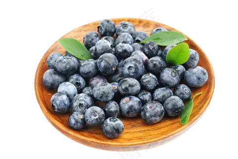 水果蓝莓果实