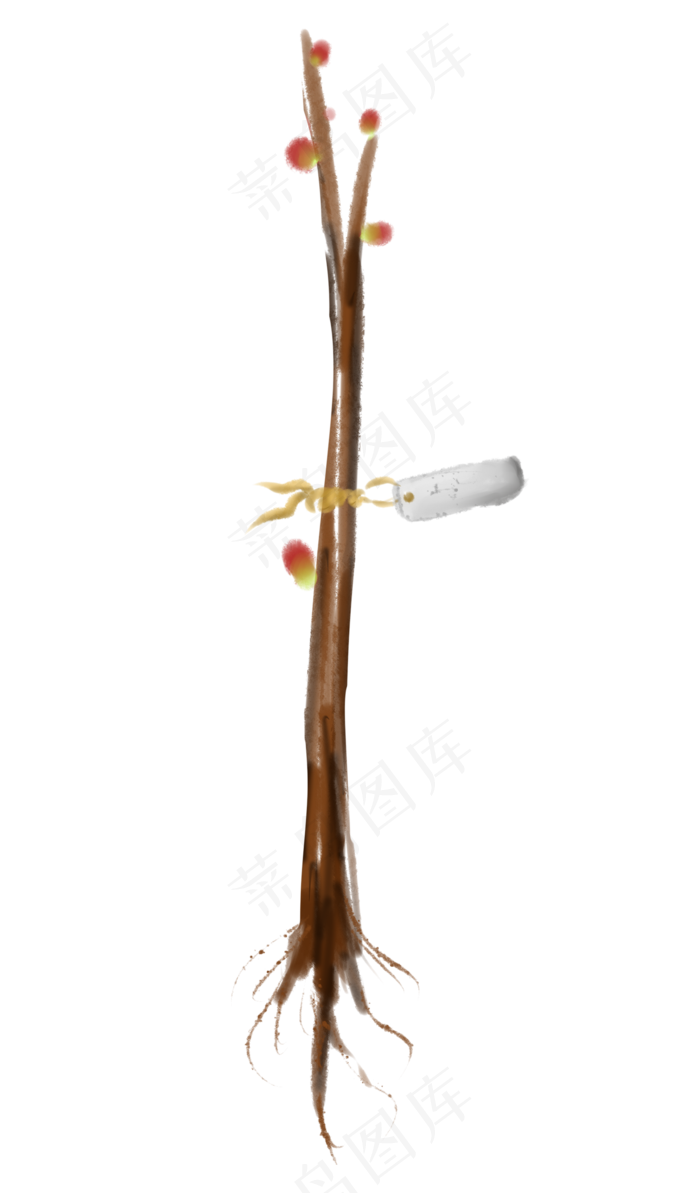 植树节小树苗插画