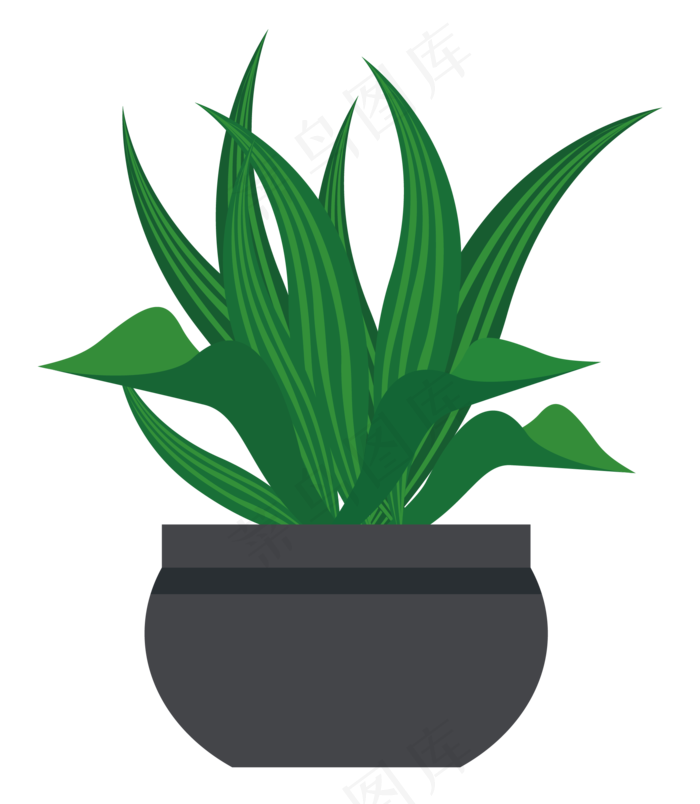 绿色叶子植物盆栽