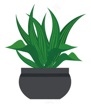 绿色叶子植物盆栽