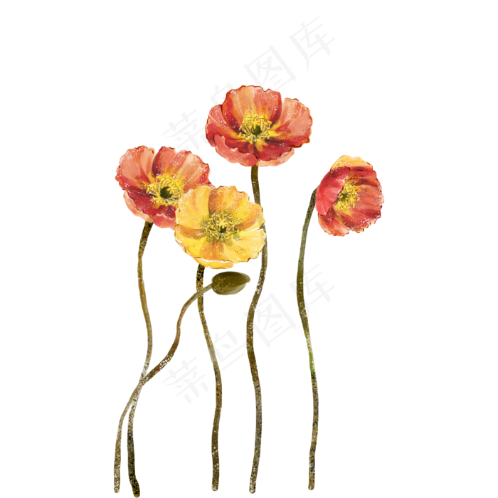 水彩油画手绘花朵