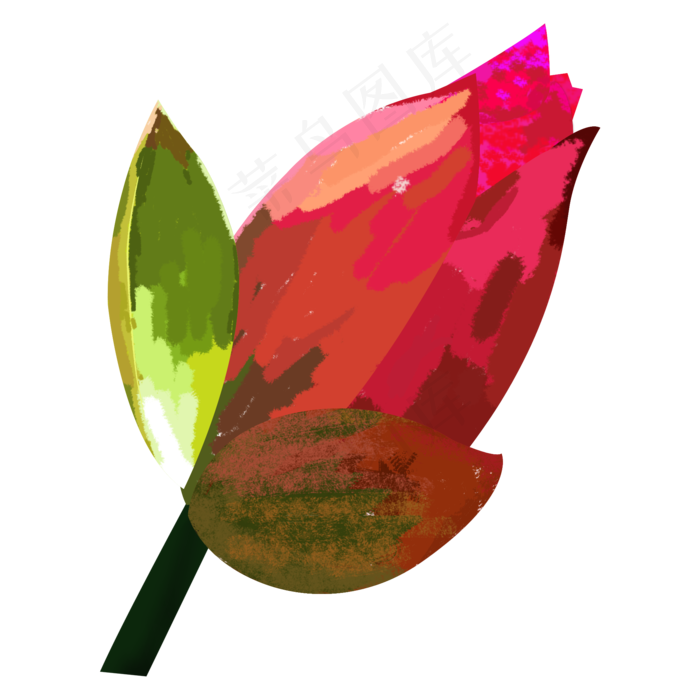 中国风荷花花蕾png下载