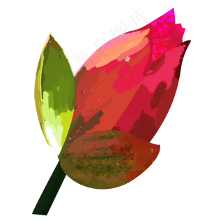 中国风荷花花蕾png下载