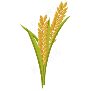 卡通矢量金黄麦穗,免抠元素