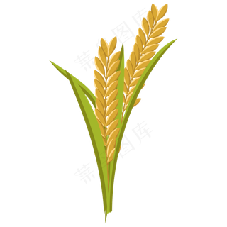 卡通矢量金黄麦穗,免抠元素