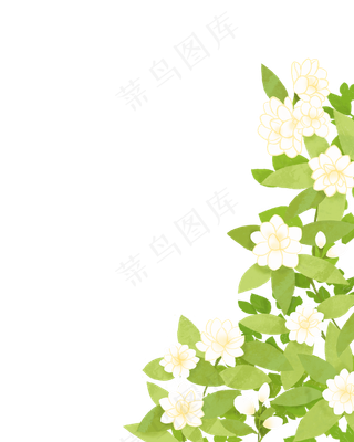 茉莉花手绘,免抠元素