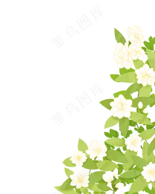 茉莉花手绘,免抠元素