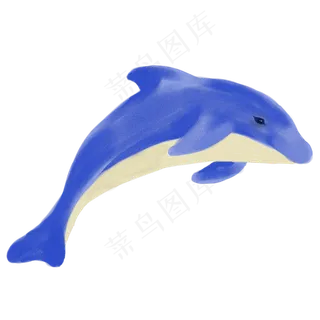海豚商用元素