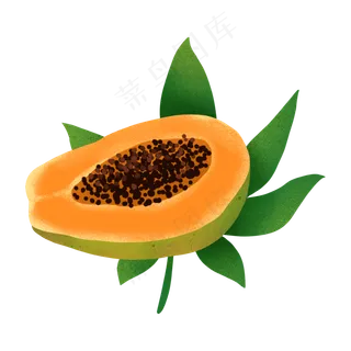 手绘卡通木瓜和木瓜叶PNG免抠