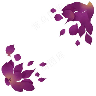 紫色玫瑰花瓣插图