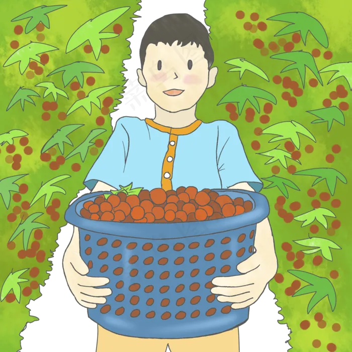 劳动节植物摘水果卡通(2000X2000(DPI:72))psd模版下载