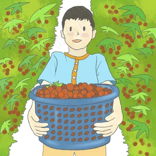 劳动节植物摘水果卡通