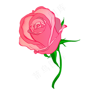 花装饰图案植物绿色植物粉色玫瑰