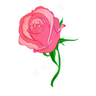 花装饰图案植物绿色植物粉色玫瑰