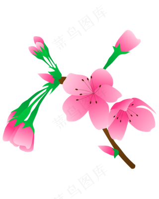 矢量免扣卡通梅花