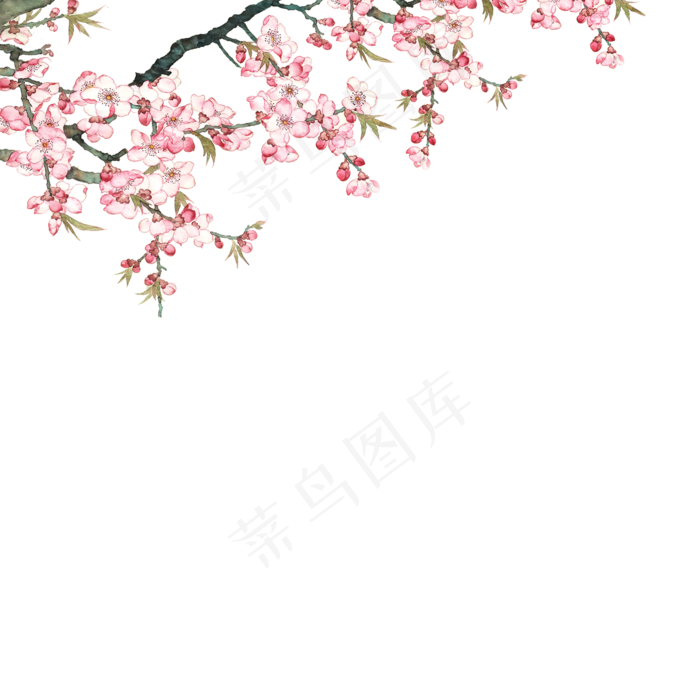 春天粉色鲜花(2000*2000px 300 dpi )psd模版下载