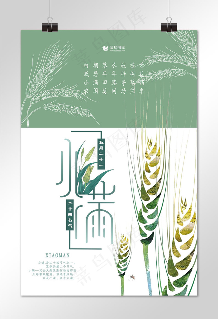 小满小清新节气海报