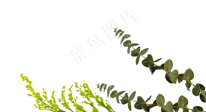 春天绿色植物绿植叶子(3852X2110(DPI:300))psd模版下载