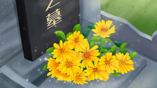 春天春节清明节墓地扫墓花束