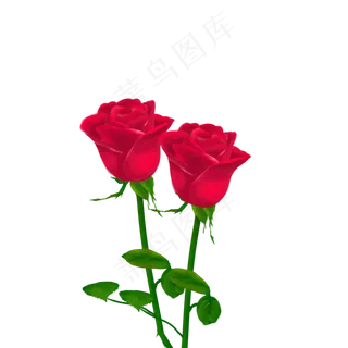520情人节玫瑰花手绘原画