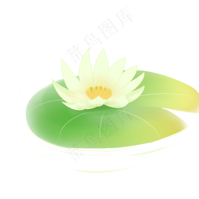 漂亮的荷花免抠图(2000X2000(DPI:300))psd模版下载