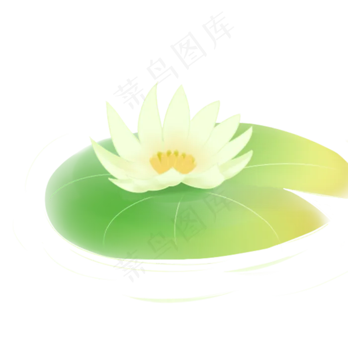 漂亮的荷花免抠图(2000X2000(DPI:300))psd模版下载