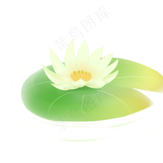 漂亮的荷花免抠图