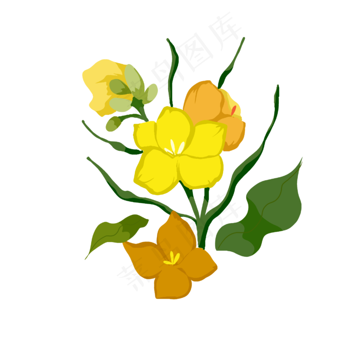 绿色叶子油菜花枝(3000X3000(DPI:299))psd模版下载