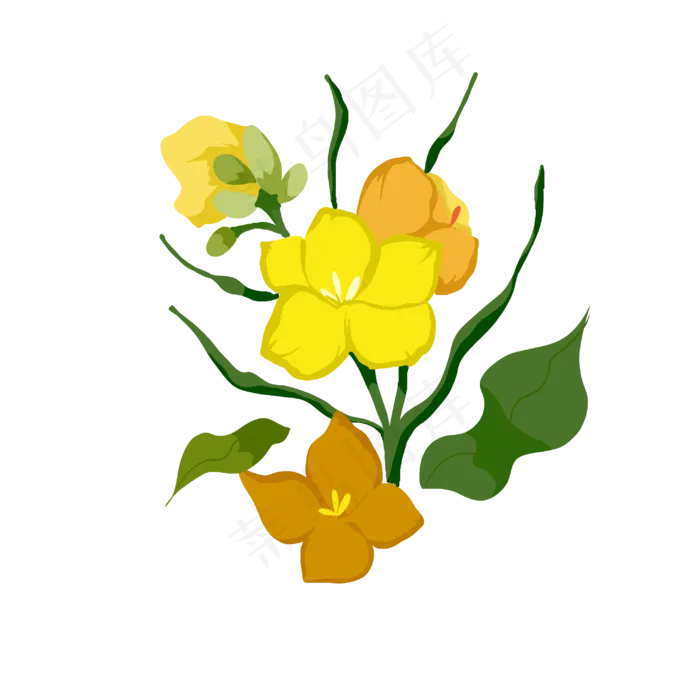 绿色叶子油菜花枝