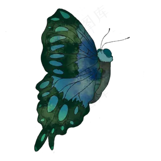 蝴蝶花蝴蝶手绘装饰