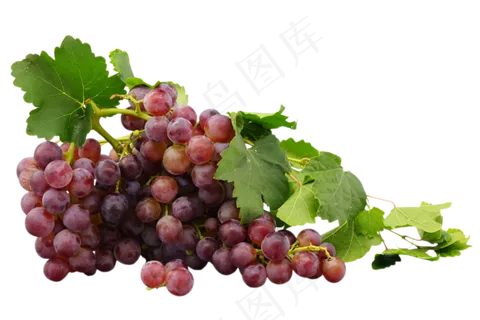 紫色葡萄水果,免抠元素
