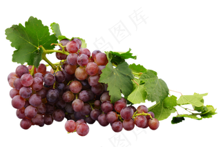 紫色葡萄水果,免抠元素