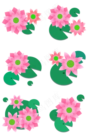 二十四节气之大暑荷叶荷花矢量图