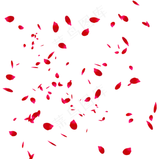 漂浮粉色玫瑰花瓣