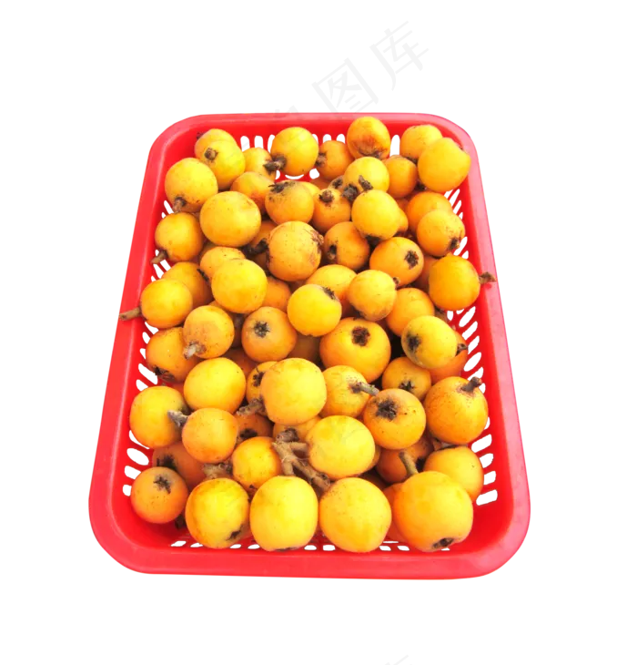 枇杷水果免扣(3000X3000(DPI:300))