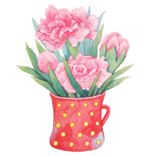 红色康乃馨花束