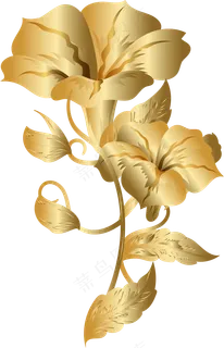 欧式金色花纹矢量图