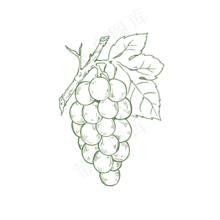 枝干可爱葡萄简笔画